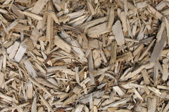 biomass boilers Moira